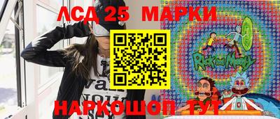 шишки Чебаркуль